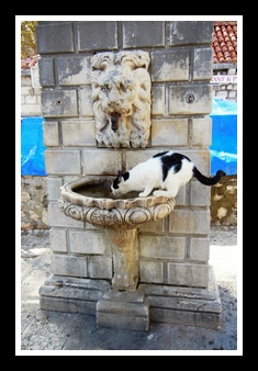 [Click to enlarge image]